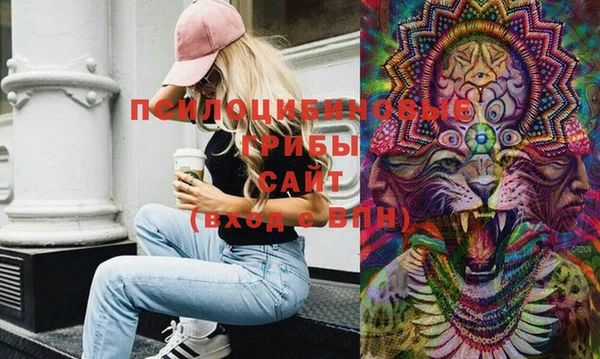 винт Абаза