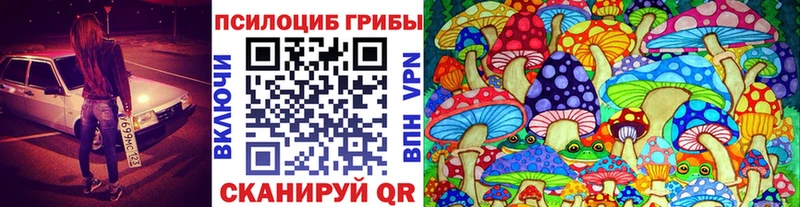 omg сайт  закладка  Гвардейск  Псилоцибиновые грибы мицелий 