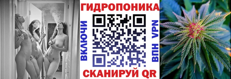 Бошки Шишки конопля Гвардейск